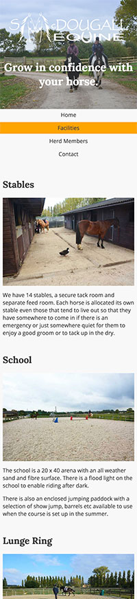 Website mobile layout